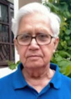 Dinesh K Mishra